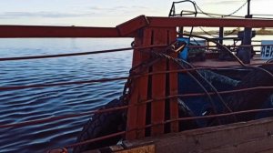 Северная Двина. Переплываем на пароме.