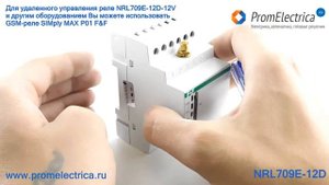 NRL709E-12D Реле 12В, реле 100А, реле бистабильное