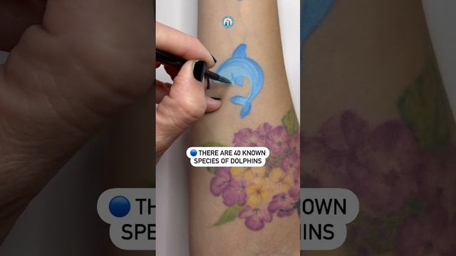 Tiny Dolphin! ?? #carolinathedoodler #dolphin #dolphins #cheekart #facepainting #satisfyingasmr