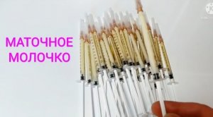 Маточное молочко. Цветочная пыльца. Упаковка - Хранение (Bee.)