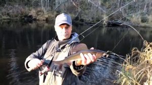 Bixod N Stream S451XXUL - уникальный одночастник длиной 1,35 м и тестом 0,4-2 г.