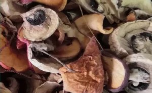 Как сушить грибы