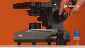 Обзор микроскопа Levenhuk D320L Base | Ситилинк
