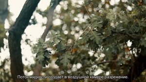 Как пистолет на заправке “узнает”, что бензобак полон