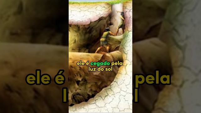 Entendendo a Alegoria da Caverna de Platão - Verdade Além das Sombras | Professor Kleisson