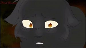 Warriors Cats - Wien (Sad clip) // Коты воители - Вена (Грустный клип)