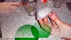 Как посадить Пихту, у себя дома?