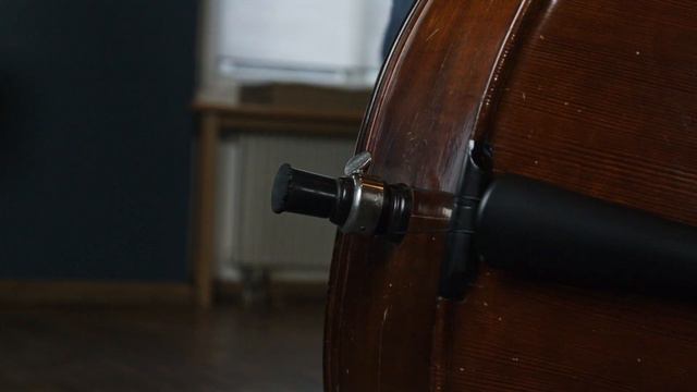 Coniglio Connection - Every Day смотреть онлайн