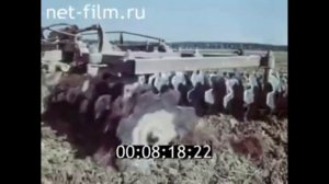 Технология выращивания овса