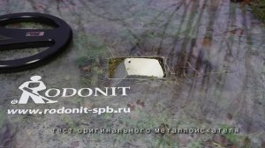 Minelab X Terra 705 Оригинальный тест на глубину