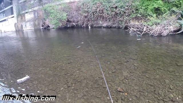 Форель.KELO Fishing (Рыбалка в Германии)