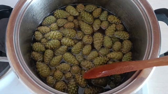 Варенье из сосновых шишек. Как собирать и подробный рецепт.