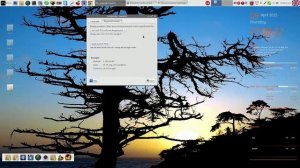 Linux Lite Русификация