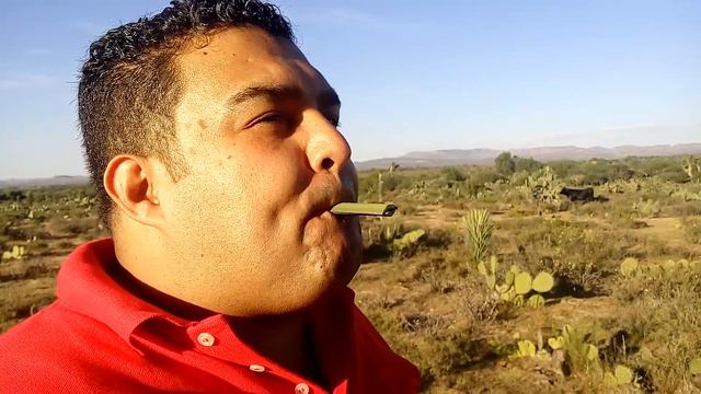 VlogGeek: Haciendo un silbato ancestral de palma смотреть онлайн