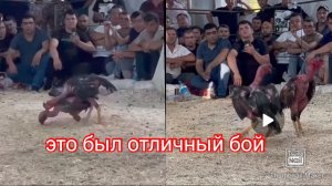 это был отличный бой