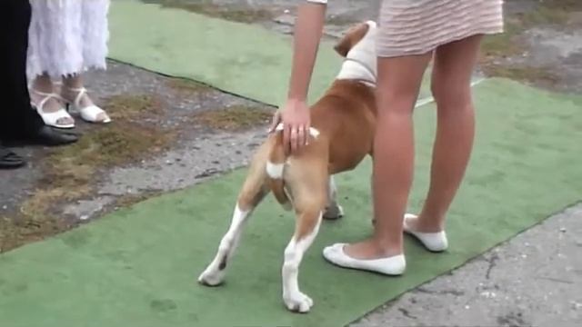 Моно Волгоград 23 09 12г Лучший бебик смотреть онлайн