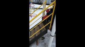 Социализация собаки.Преодолевая страх.  Как научить собаку не бояться лестниц?