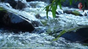 Spanish Guitar Best Hits - Most Beautiful Relaxing Spanish Guitar Music Ever...