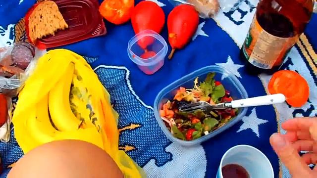 № 1586 США Квас Тарас Завтрак в Джунглях Kelly Park Fl 2011 смотреть онлайн