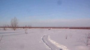 мотособака самоделка  рекс 380  с кпп. мотоцыкла урал.