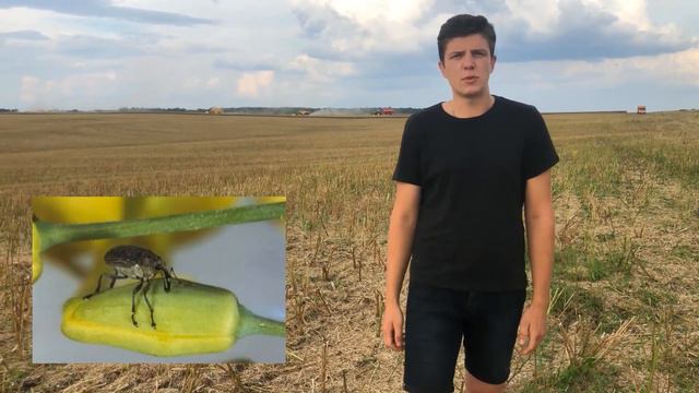 Польова Борня онлайн – Романович Андрій – Кращий молодий агроном 2020 смотреть онлайн