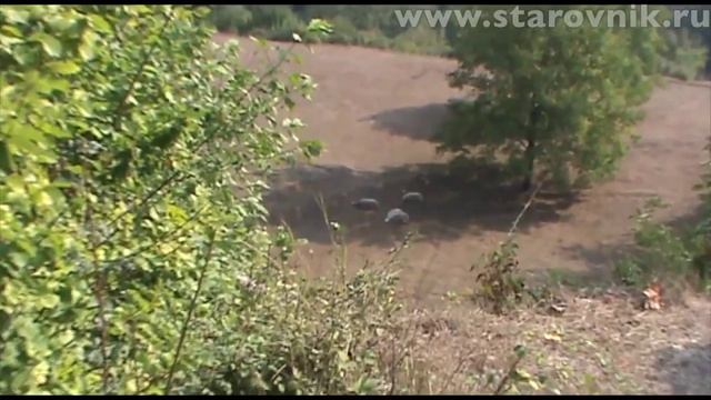 Ко и О #52 ПУТЕШЕСТВИЕ В ЧЕРНОГОРИЮ THE JOURNEY TO MONTENEGRO смотреть онлайн