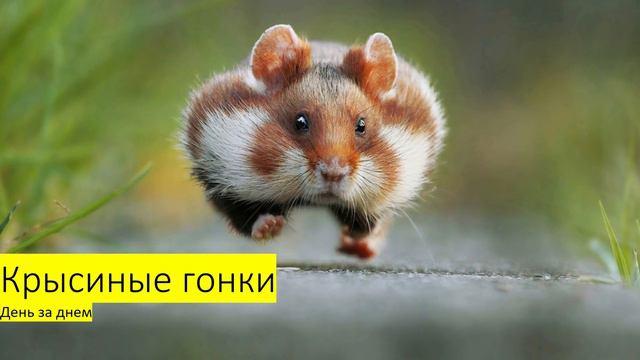 советы по заработку в интернете готовая схема смотреть онлайн