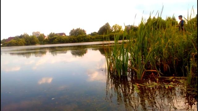 Ловля карася в июне в 5 часов утра, на поплавок. смотреть онлайн