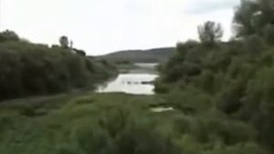 Юрий Краснопёров Соседи