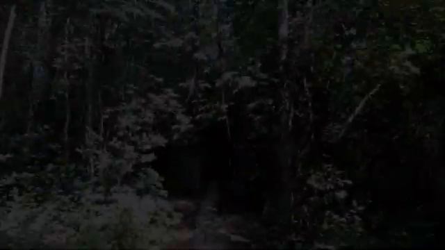 Озеро СВЕТЛОЯР! День 3 на б/о " Подсолнухи"