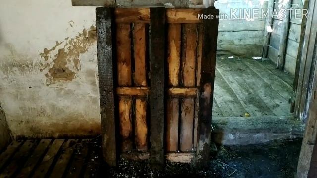Плюсы и минусы содержания коз на поддонах
