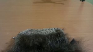 Вязание мехом для начинающих часть 3