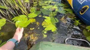 РЫБАЛКА НА ПТИЧИ. ЩУКА НА БУТЫЛКУ, КРУЖКИ И НА ПЕРЕМЁТ.