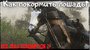 Как в red dead redemption 2 покормить лошадь?
