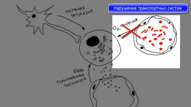 Повреждение. Общие вопросы