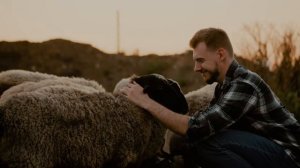 ТИОЦЕФУР: Лечение респираторных заболеваний у животных