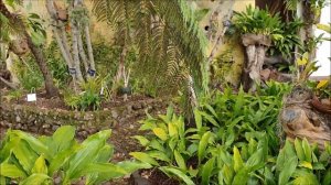 Ботанический сад Мадейры, Фуншал, Мадейра, Португалия