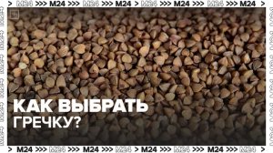 Эксперты рассказали, как выбрать гречку - Москва 24