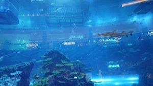 Дубай или Египет? Куда поехать ВЕСНОЙ. Где дешевле отдохнуть в 2022 году?