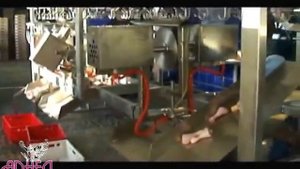 линия разделки птицы Арнея Миасс.mp4