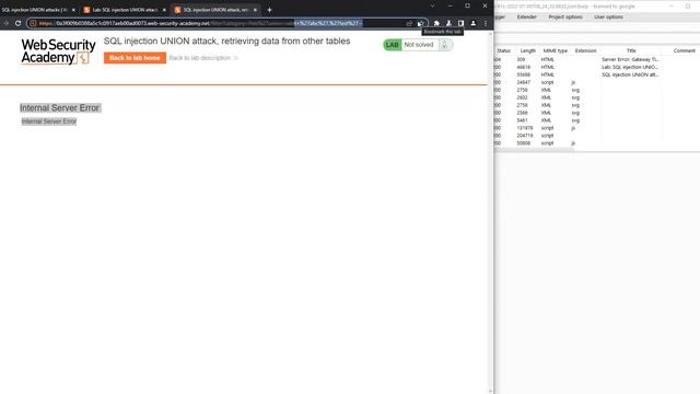 SQL Injection | SQL Injection UNION Attack, Retrieving Data From Other Tables | #5 смотреть онлайн