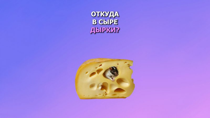 Откуда в сыре дырки?