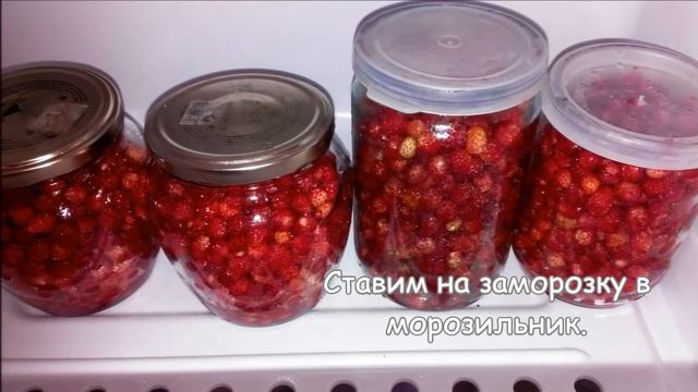 ЗЕМЛЯНИКА/КЛУБНИКА на ЗИМУ. С сахаром БЕЗ ВАРКИ! 2 самых ПОЛЕЗНЫХ способа!