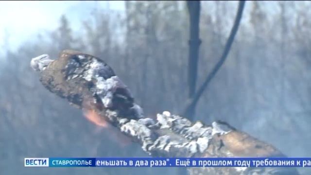 Как правильно выбрать место для пикника, чтобы не испортить праздник