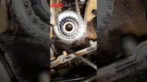 Метка сеп ГРМ-а Опель вектра С 2.2