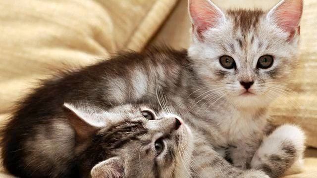 Музыка для Ирины. Красивая лирическая песня. Послуша... смотреть онлайн