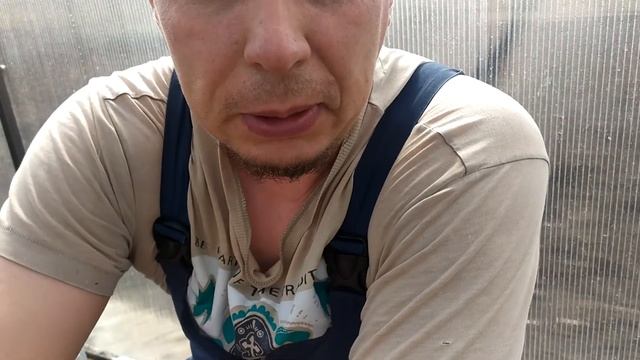 НЕ время СПАТЬ! смотреть онлайн