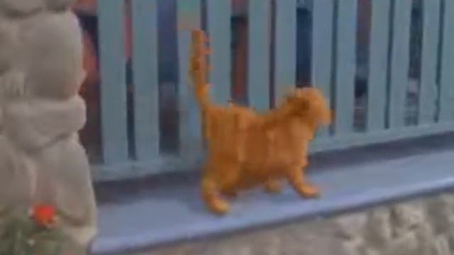 Песня эй толстый.