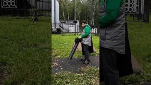 Пылесос садовый электрический Greenworks GBV2800