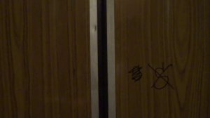 Электрический лифт (г. Дрезна), V=0,71 м-с, г-п 320 кг (2)